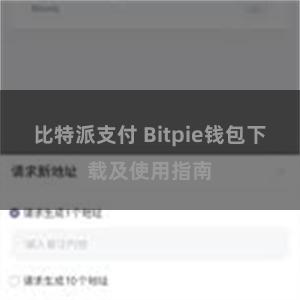 比特派支付 Bitpie钱包下载及使用指南