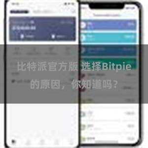 比特派官方版 选择Bitpie的原因，你知道吗？