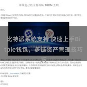 比特派系统支持 快速上手Bitpie钱包，多链资产管理技巧