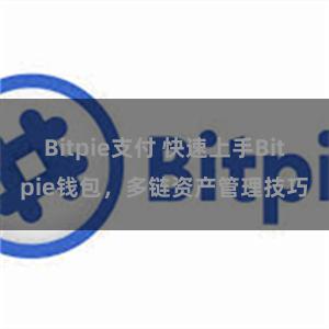 Bitpie支付 快速上手Bitpie钱包，多链资产管理技巧