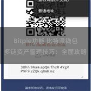 Bitpie功能 比特派钱包多链资产管理技巧：全面攻略