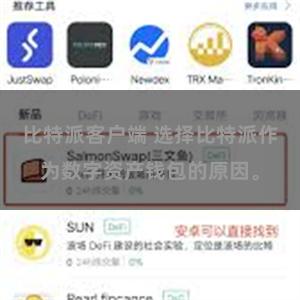 比特派客户端 选择比特派作为数字资产钱包的原因。