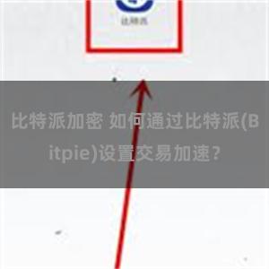 比特派加密 如何通过比特派(Bitpie)设置交易加速？