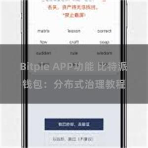 Bitpie APP功能 比特派钱包：分布式治理教程