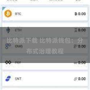 比特派下载 比特派钱包：分布式治理教程