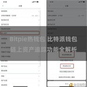 Bitpie热钱包 比特派钱包链上资产追踪功能全解析