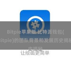 Bitpie苹果版 比特派钱包(Bitpie)的团队背景和发展历史揭秘