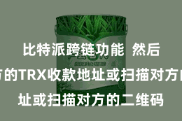 比特派跨链功能  然后输入对方的TRX收款地址或扫描对方的二维码