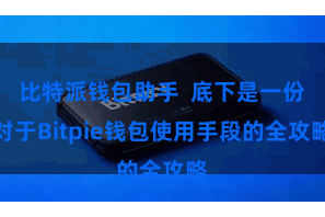 比特派钱包助手  底下是一份对于Bitpie钱包使用手段的全攻略
